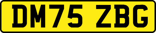 DM75ZBG