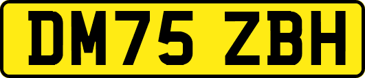 DM75ZBH