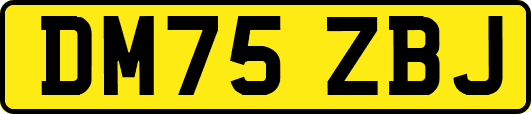 DM75ZBJ