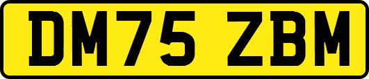 DM75ZBM