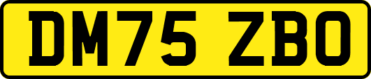 DM75ZBO