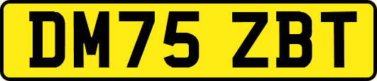 DM75ZBT