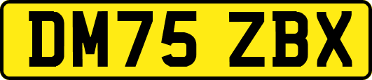 DM75ZBX