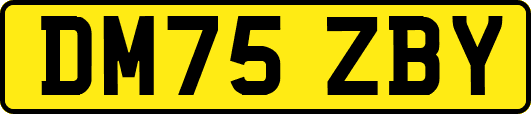 DM75ZBY