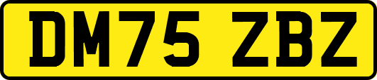 DM75ZBZ