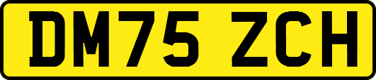 DM75ZCH