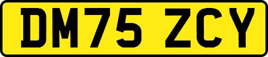 DM75ZCY