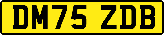 DM75ZDB
