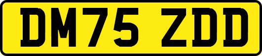 DM75ZDD