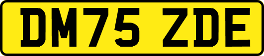 DM75ZDE