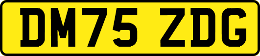 DM75ZDG