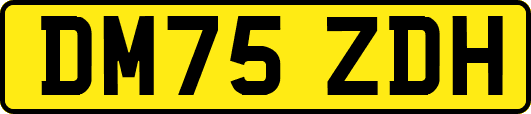 DM75ZDH