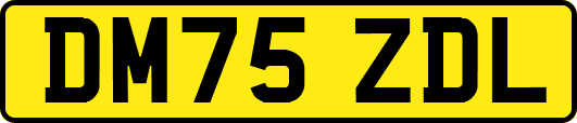 DM75ZDL