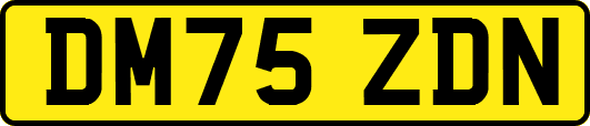 DM75ZDN