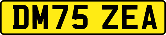 DM75ZEA