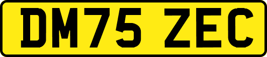 DM75ZEC
