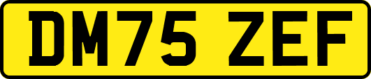 DM75ZEF