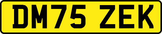 DM75ZEK