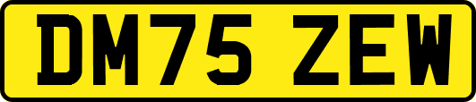 DM75ZEW