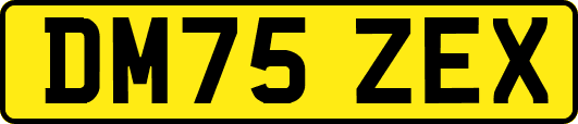 DM75ZEX