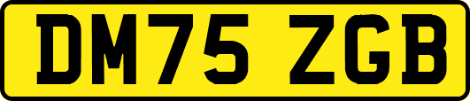 DM75ZGB