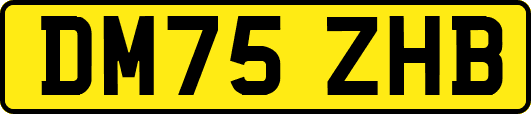 DM75ZHB