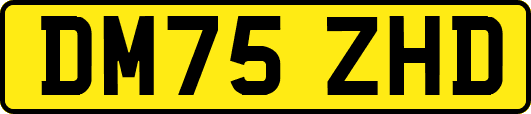 DM75ZHD