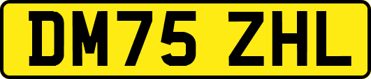 DM75ZHL