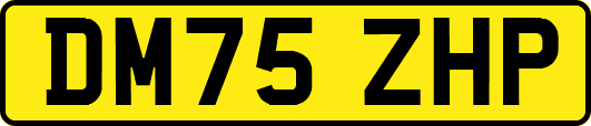DM75ZHP
