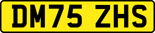 DM75ZHS