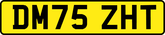 DM75ZHT