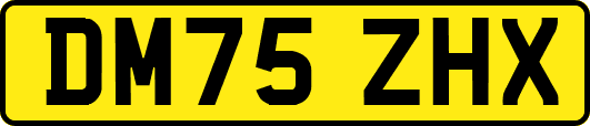 DM75ZHX