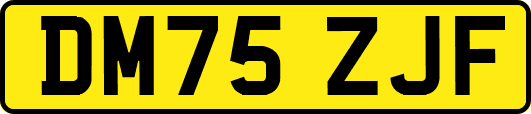 DM75ZJF