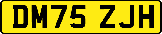 DM75ZJH