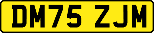 DM75ZJM
