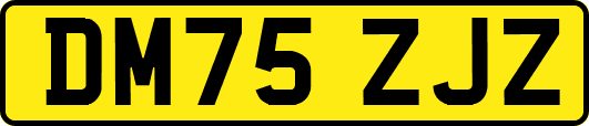 DM75ZJZ