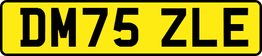 DM75ZLE