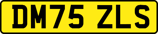 DM75ZLS