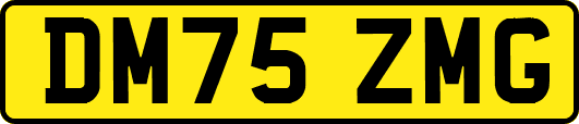 DM75ZMG