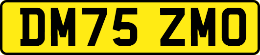 DM75ZMO