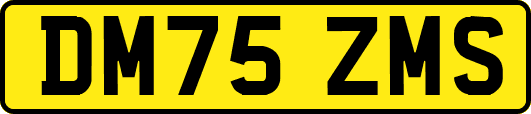 DM75ZMS