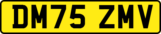 DM75ZMV