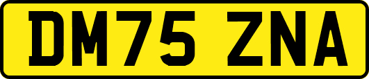 DM75ZNA