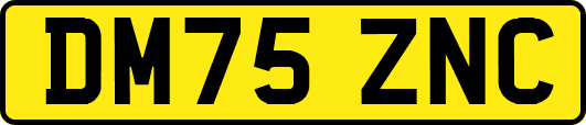 DM75ZNC