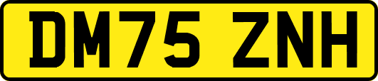 DM75ZNH