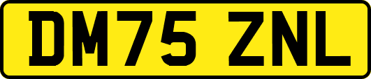 DM75ZNL