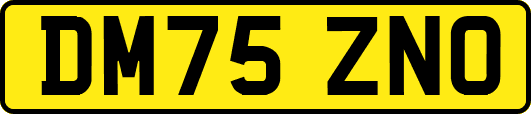 DM75ZNO
