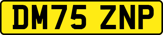 DM75ZNP