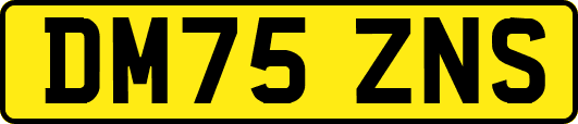 DM75ZNS