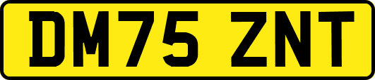 DM75ZNT